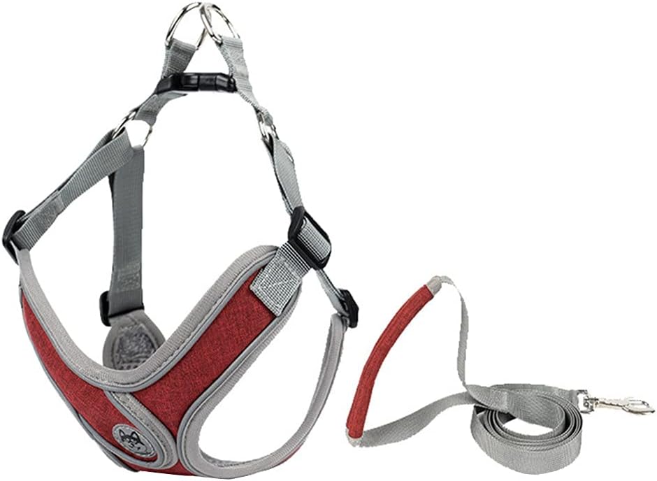 Dog Harness and Leash - Customizable Fit thumbnail 1