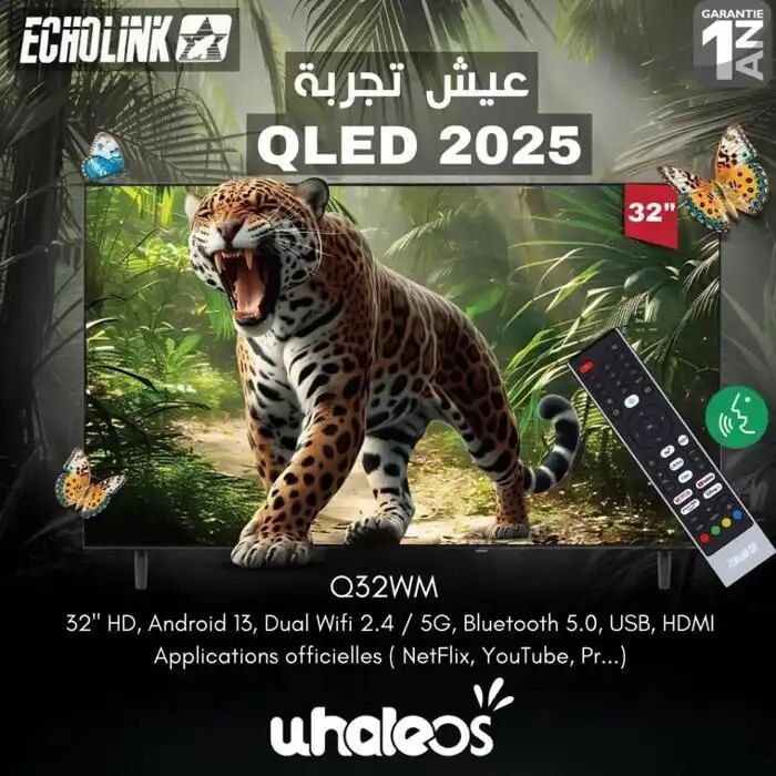 TV QLED 32  - Q32WM - WhaleOS - Bluetooth - Support Gratuit