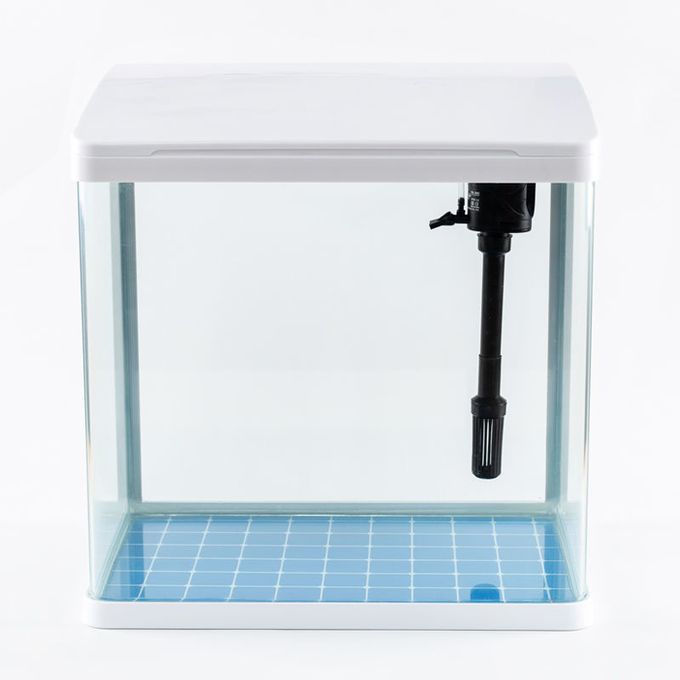 Petit Aquarium Complet Tout-en-un Avec Filtration Interne. 10 Litre