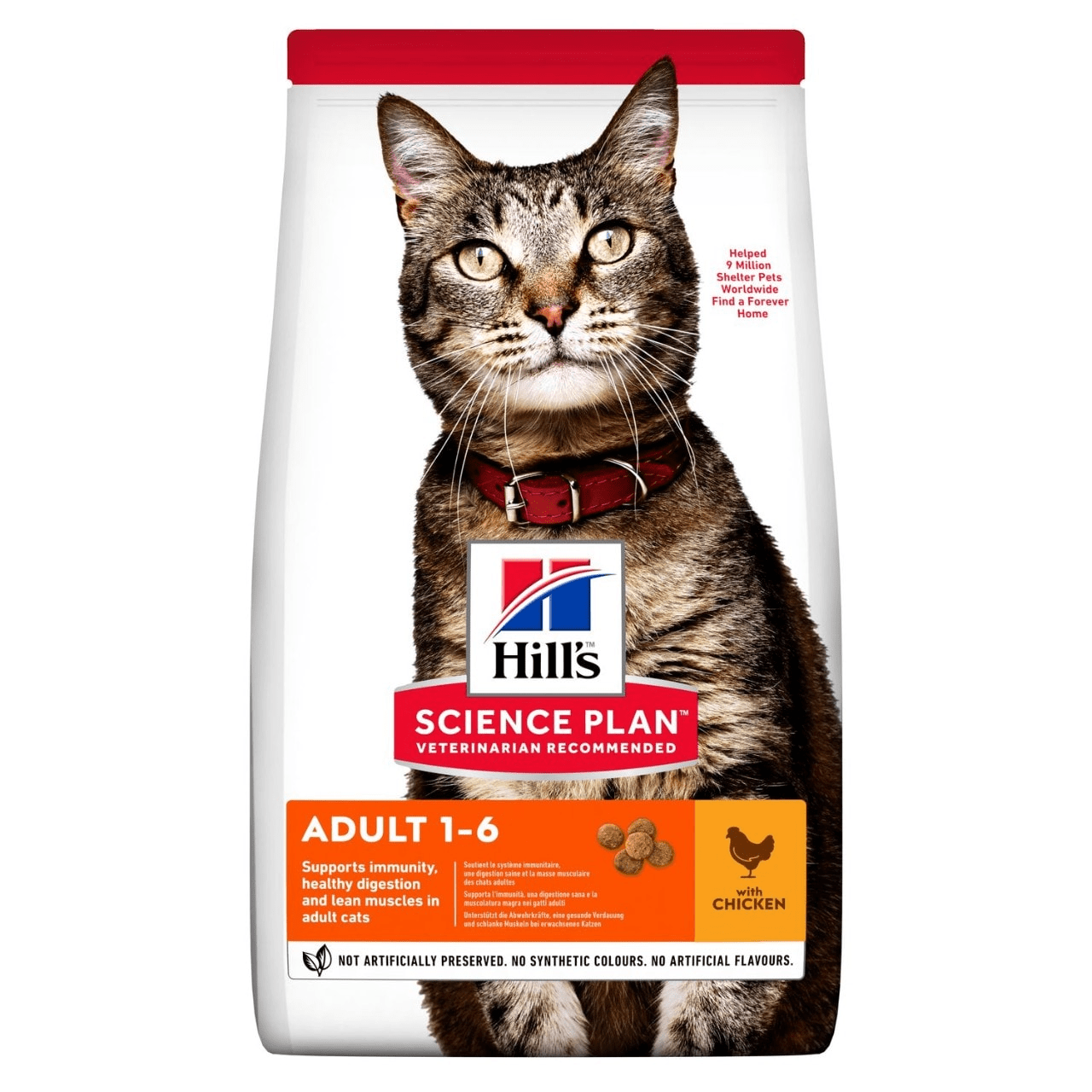 Croquettes Pour Chat Adulte - Hills Cat Food 3kg