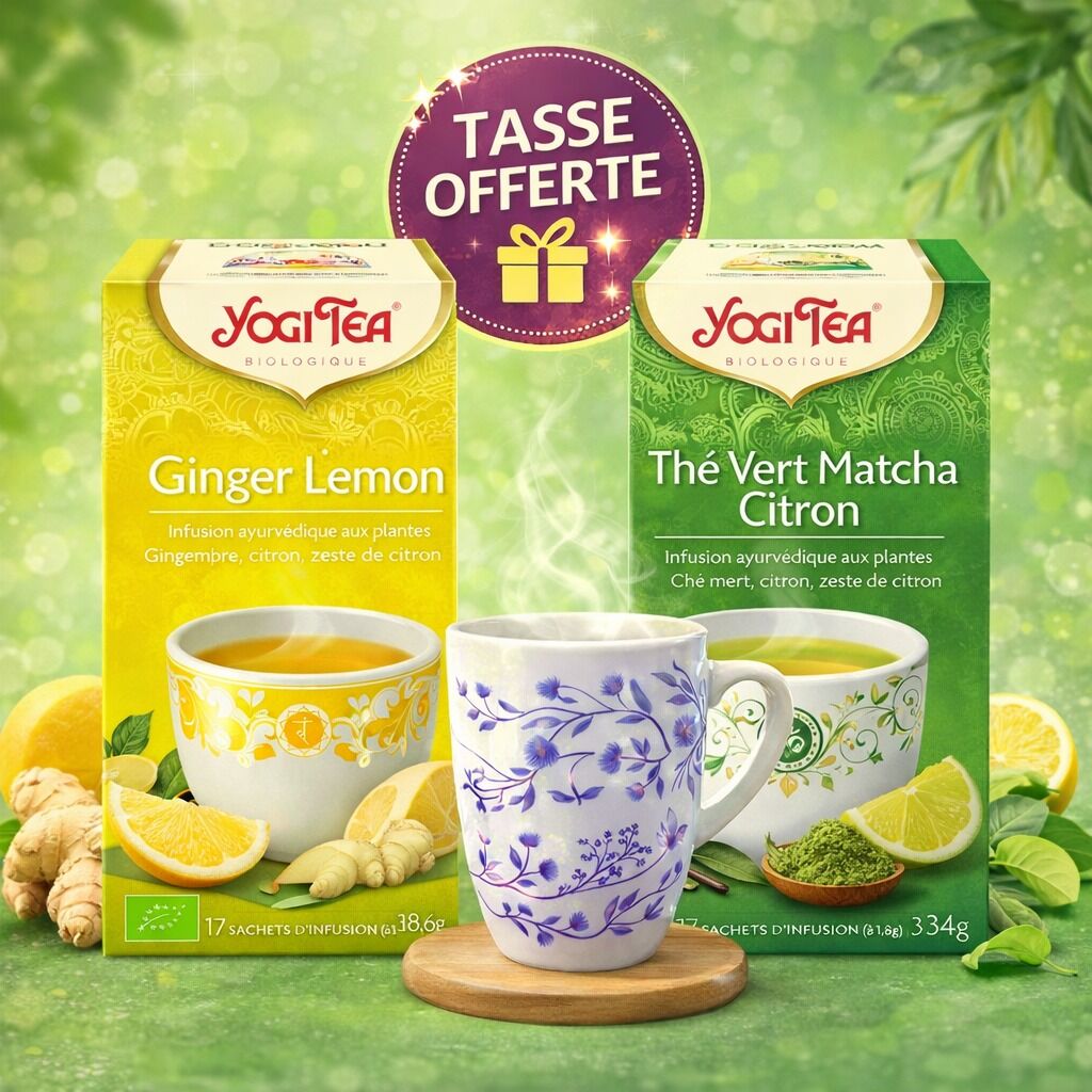 GINGEMBRE CITRON 17 X 2G + THE VERT MATCHA CITRON 17 X 2G + Tasse Offerte