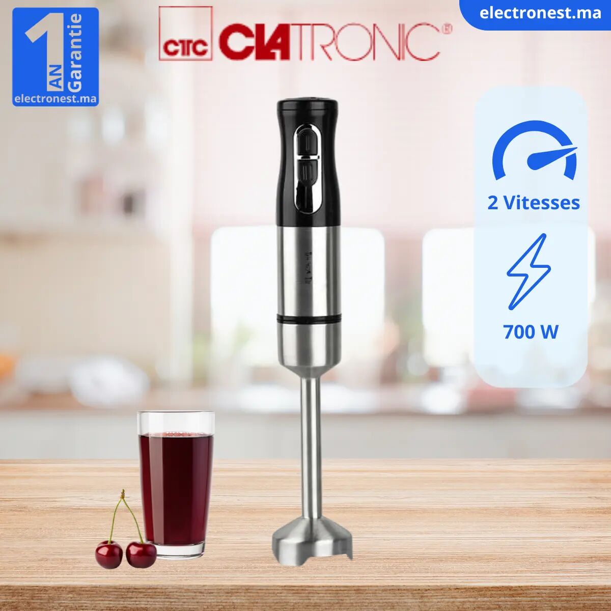 Roch Mixeur Plongeant - Acier Inoxydable - 700W