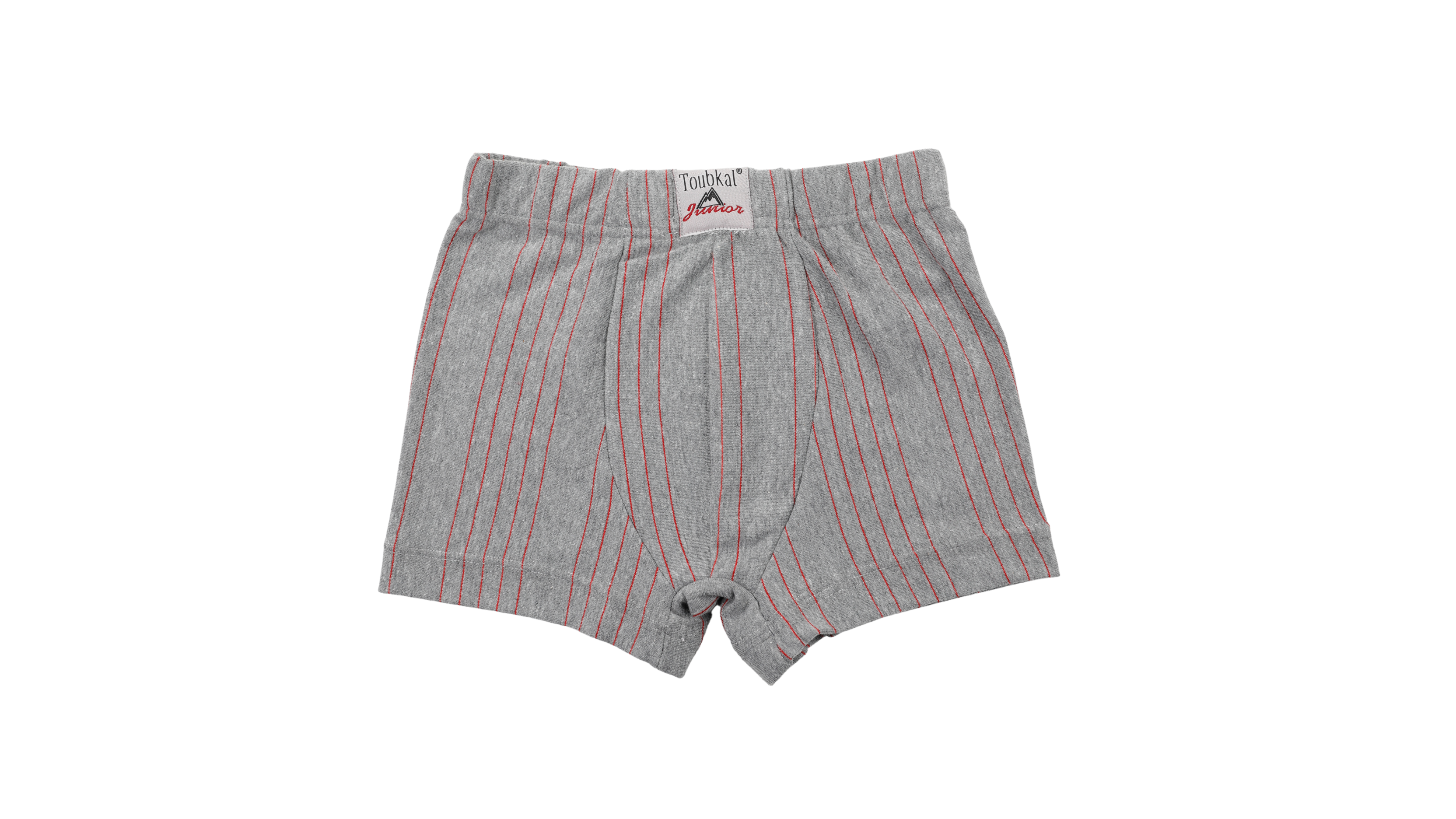 مجموع4 قطع من سراويل بوكسر قطنية مخططة للأولاد thumbnail 3