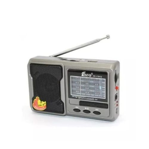 Radio Portable Fp-1781u – Am/fm/sw – 8 Bandes – Rechargeable