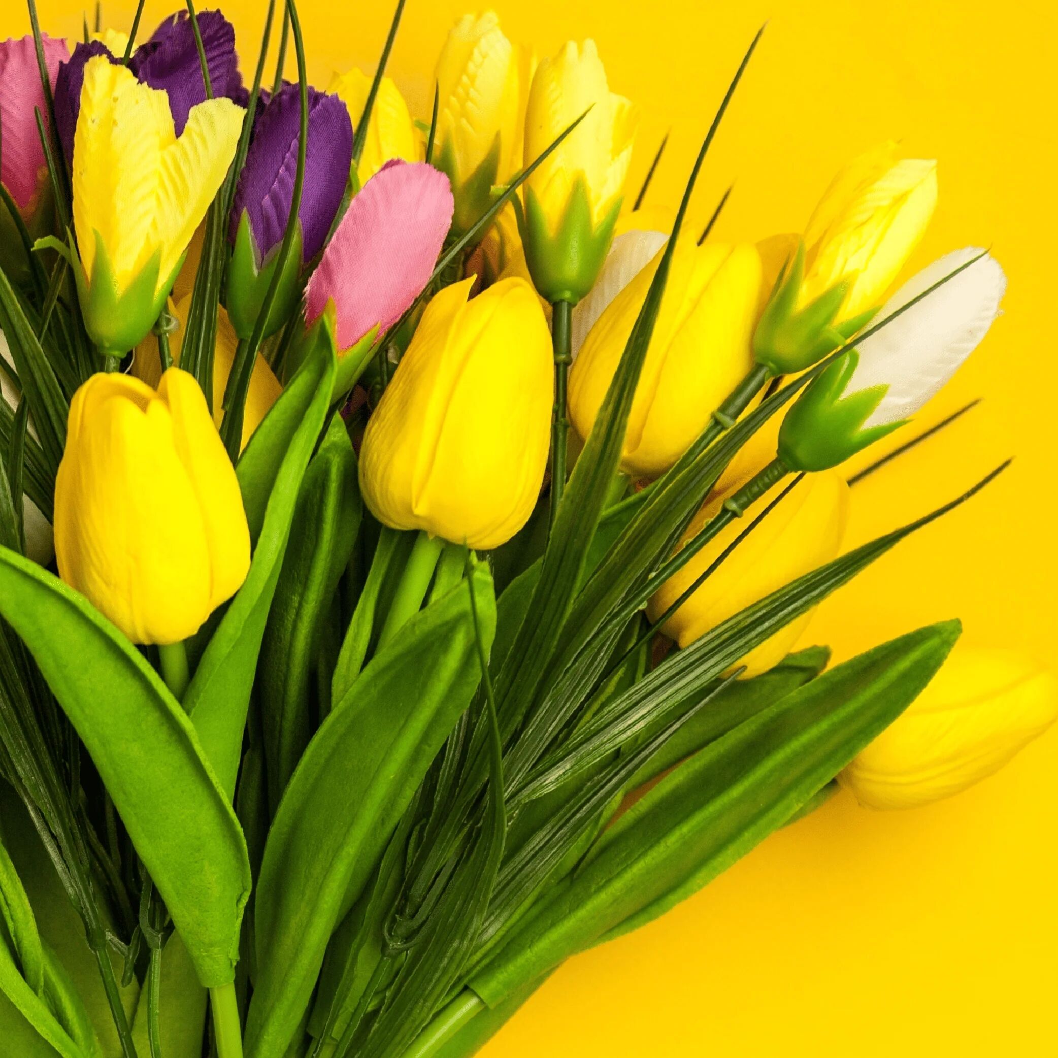 Tableau Tulipa Elegance – Art Floral thumbnail 3