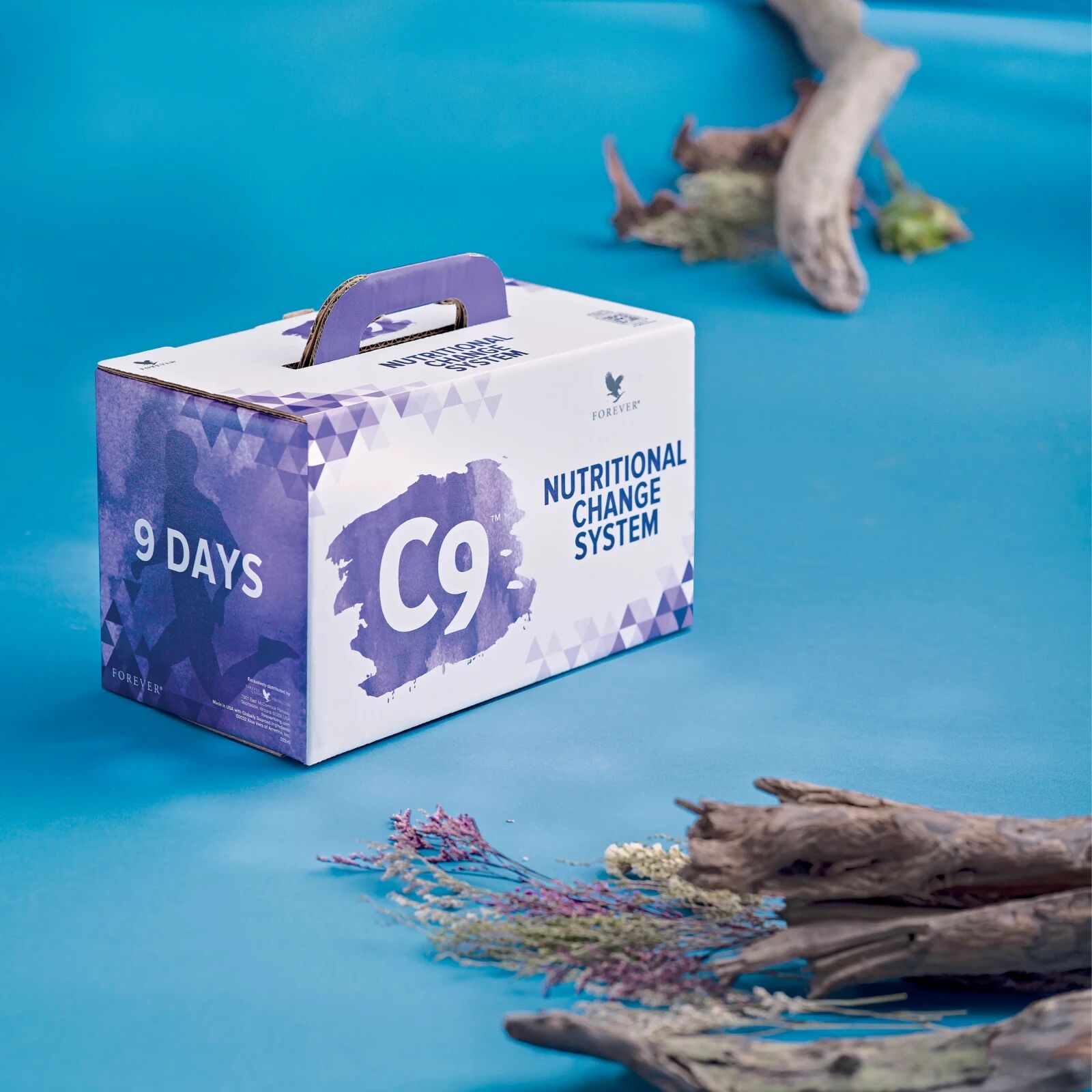 Programme C9 Pêche Chocolat