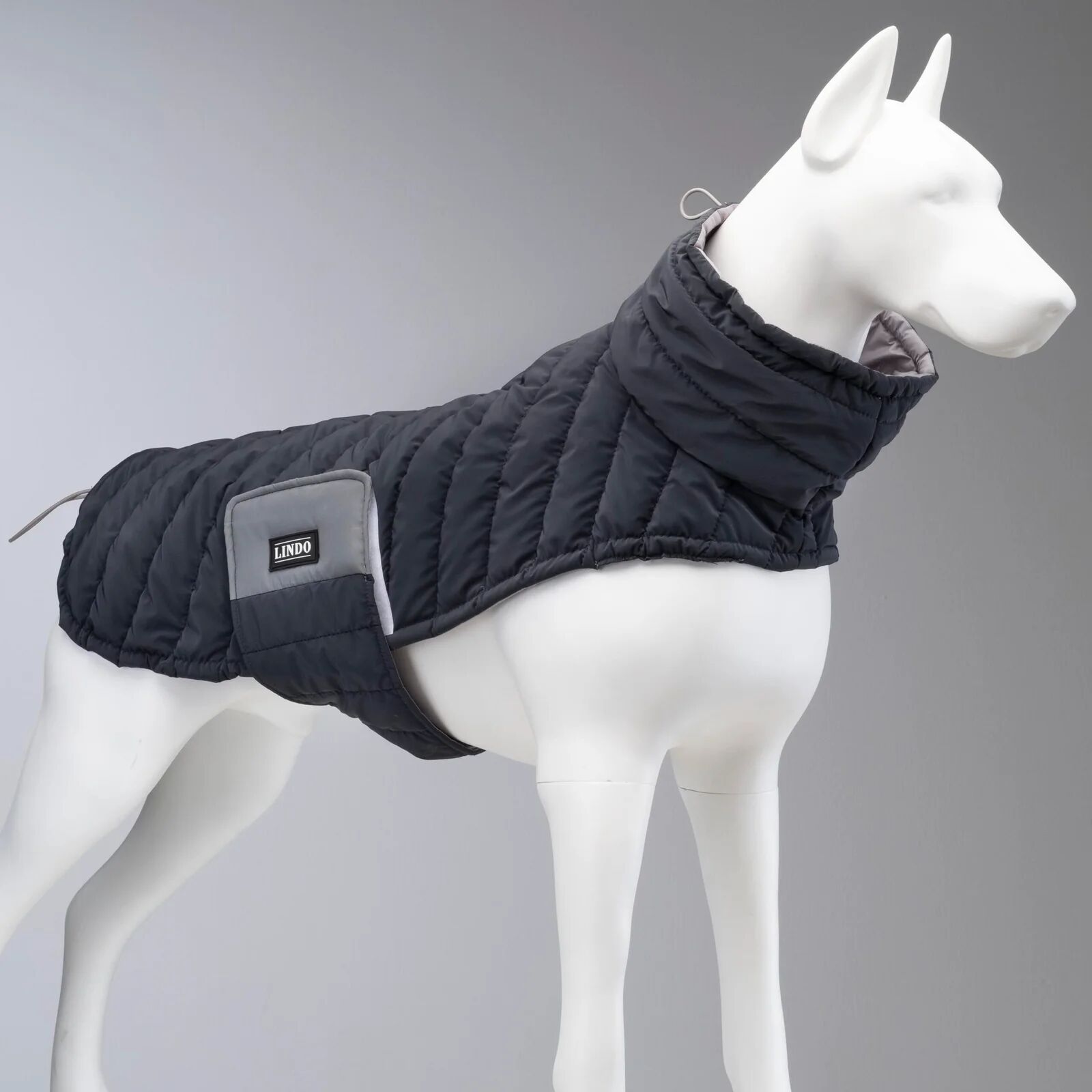 Habits Pour Chiens Blue