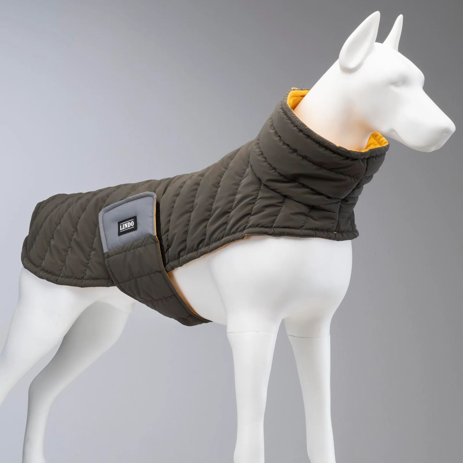 Habits Pour Chiens Vert Mango