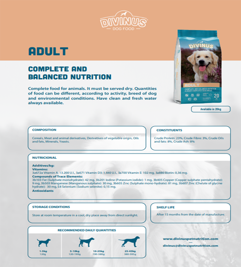 Croquettes Pour Chien Adulte