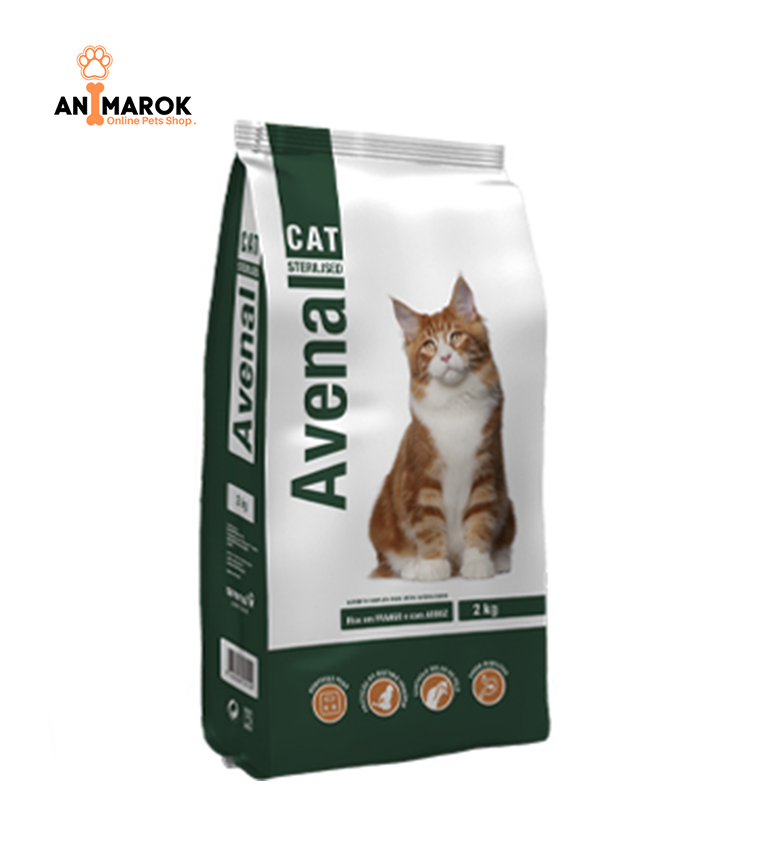 Avenal Cat Stérilisé