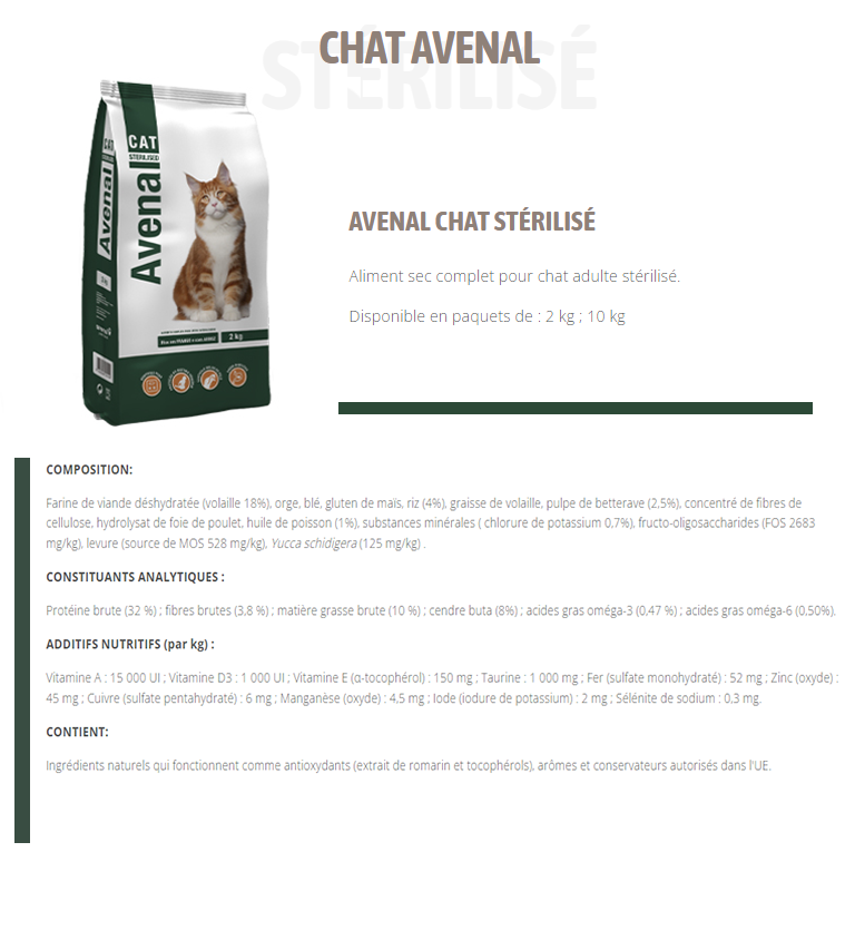 Avenal Cat Stérilisé