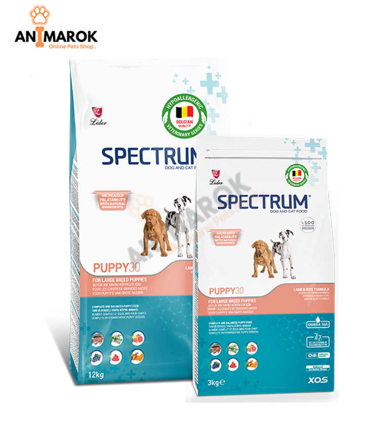 Spectre Chiot 30 Large – Race