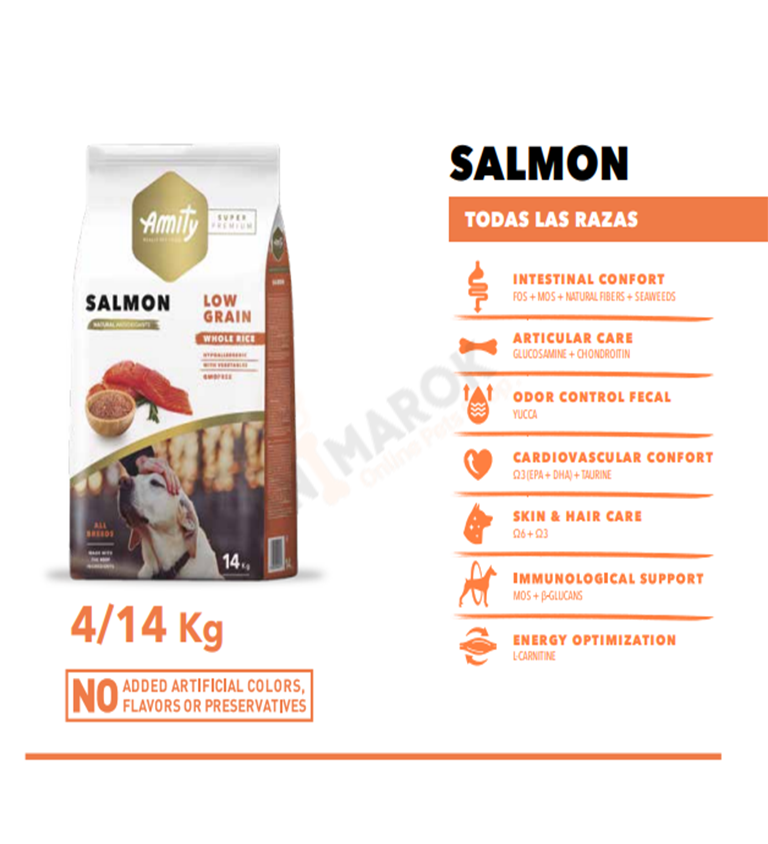 Dog Low Grain Saumon Adulte