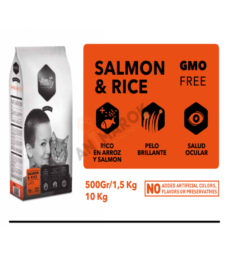 Premium Chat Saumon & Riz