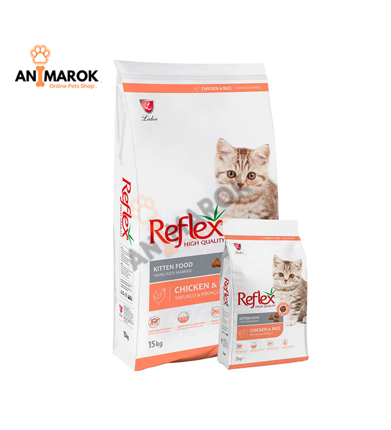 High Quality Kitten Poulet