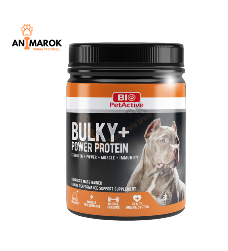 Bulky Power Protéine