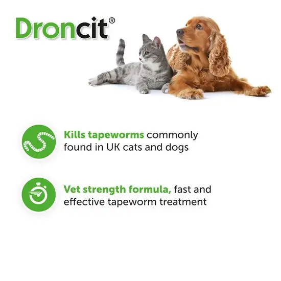 Vermifuge Efficace Pour Chats Et Chiens