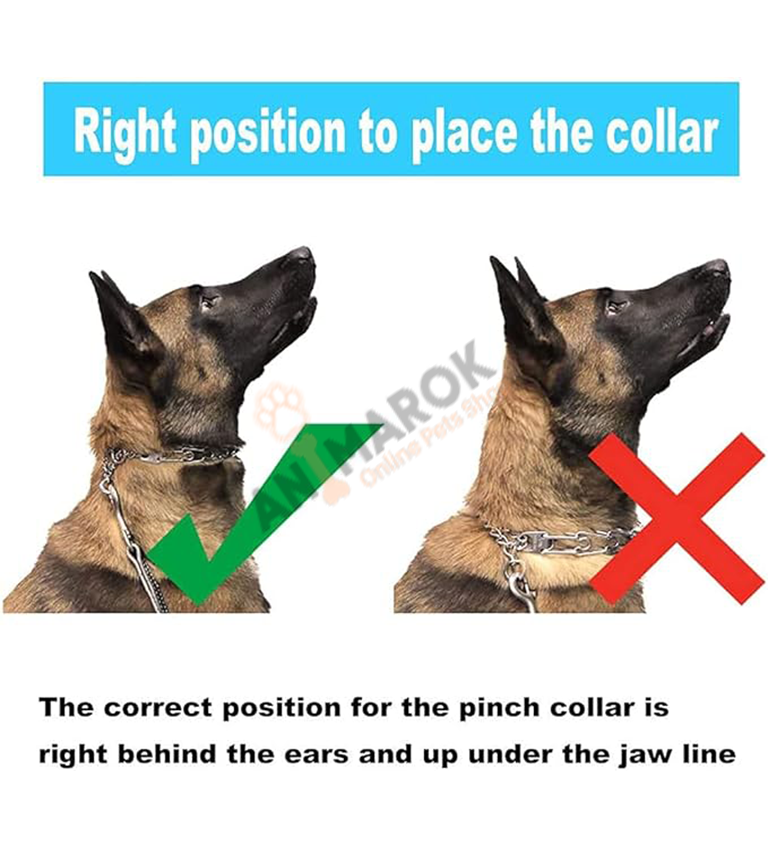 Collier Etrangleur De Dressage À Griffes Pour Chien thumbnail 4