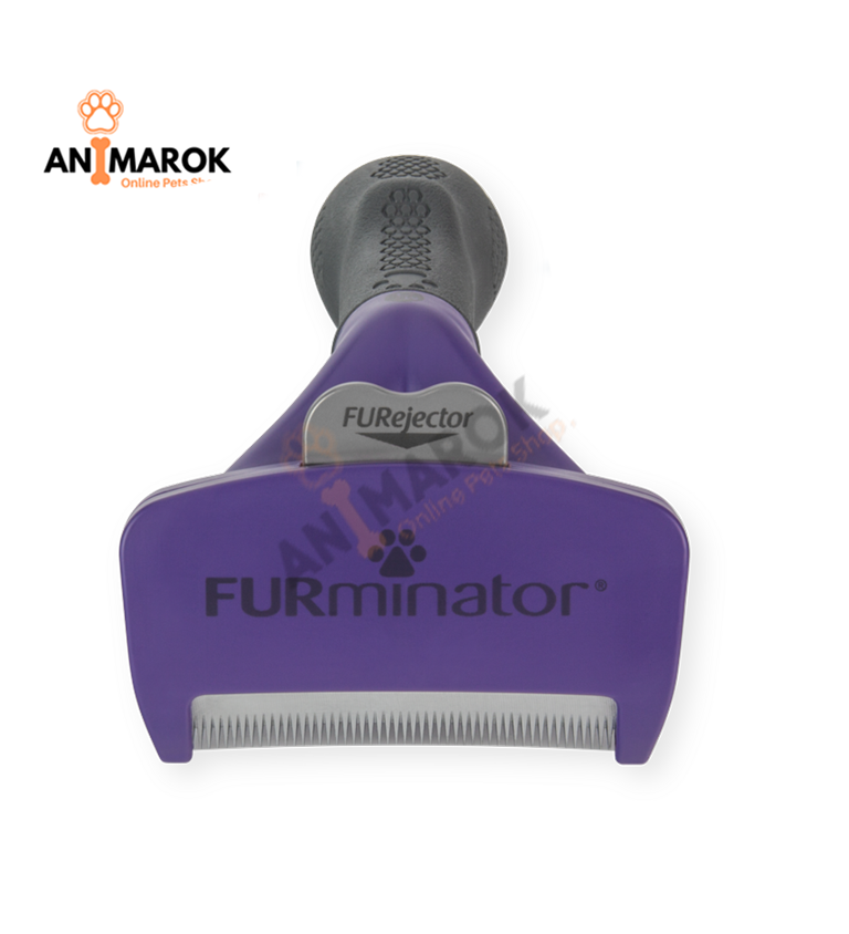 Chats À Poils Longs