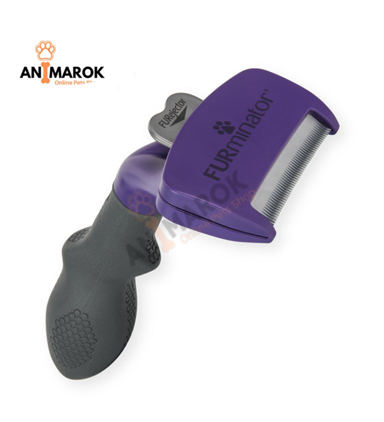 Chats À Poils Longs thumbnail 3