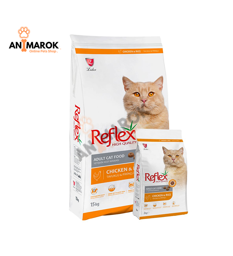 High Quality Adult Cat Poulet