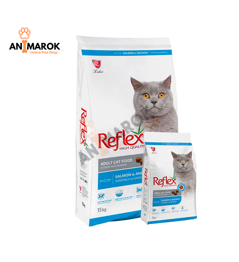 High Quality Adulte Cat Saumon Et Anchois