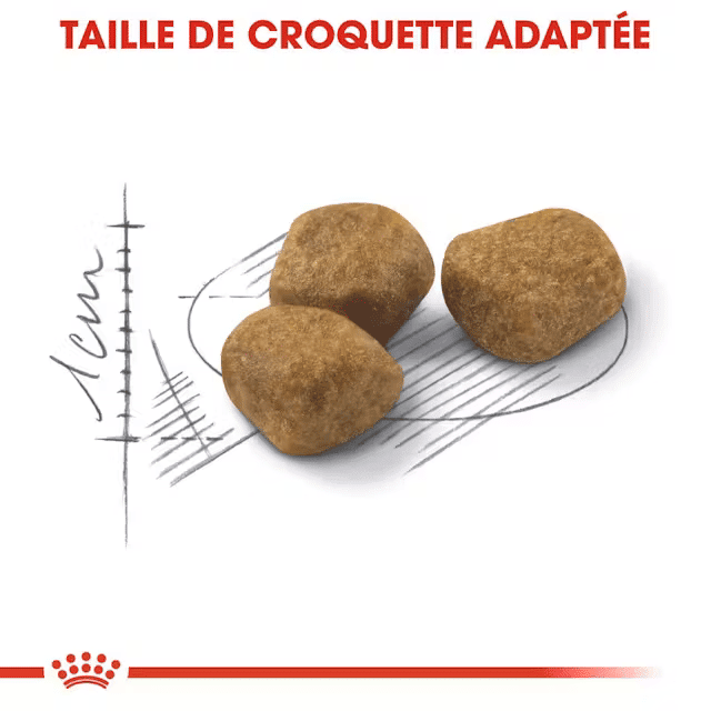 Indoor 27 – Croquettes Pour Chats D’intérieur Adultes