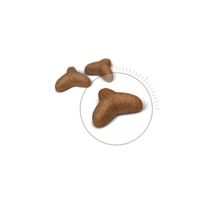 Light Weight Care – Contrôle Du Poids Et Forme Idéale thumbnail 3