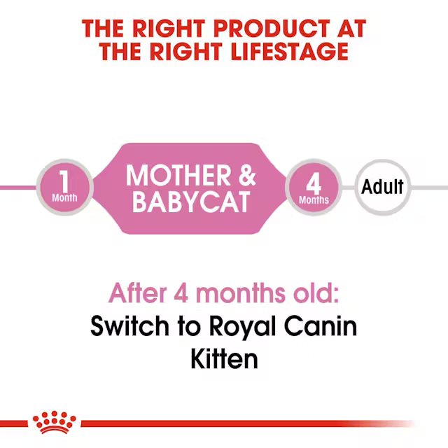 Mother Et Baby Cat thumbnail 4