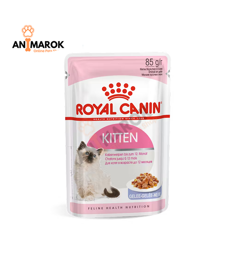 Kitten Instinctive-pouchon