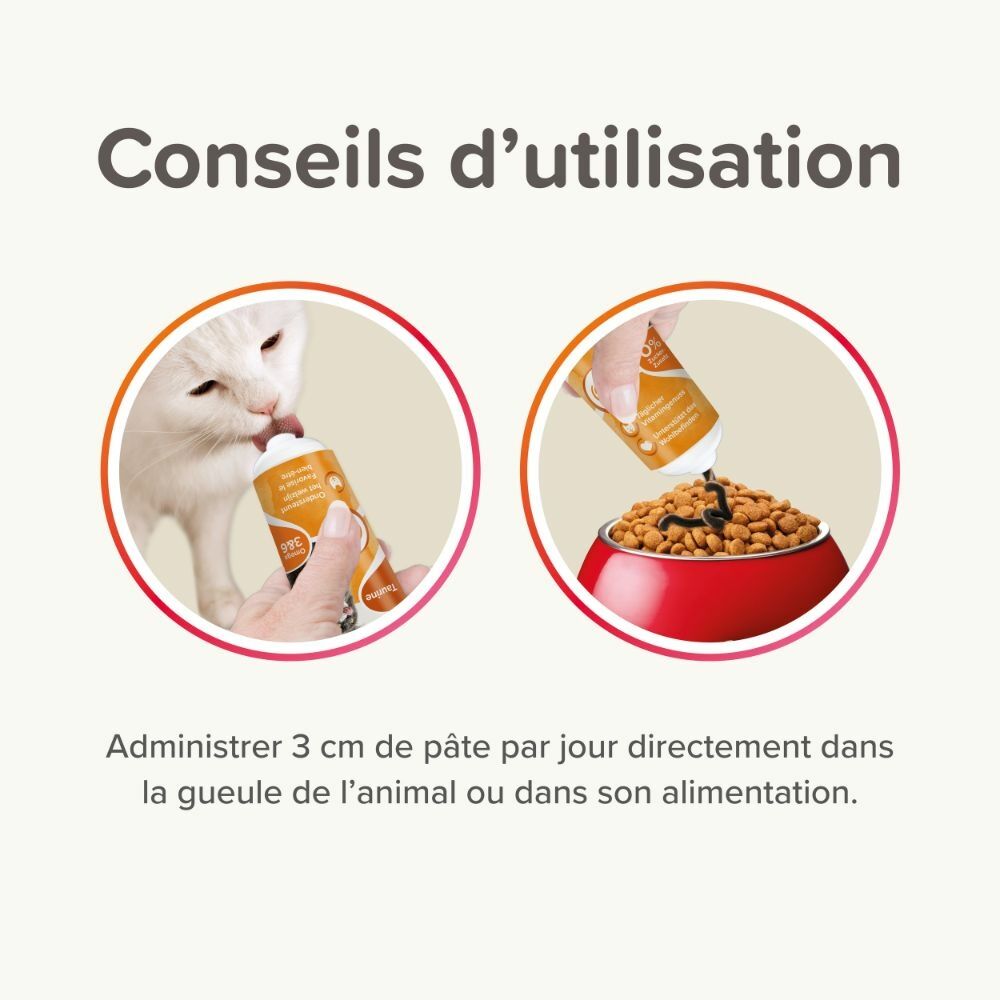 Pâte Multivitaminée À La Taurine Et Omégas Pour Chat