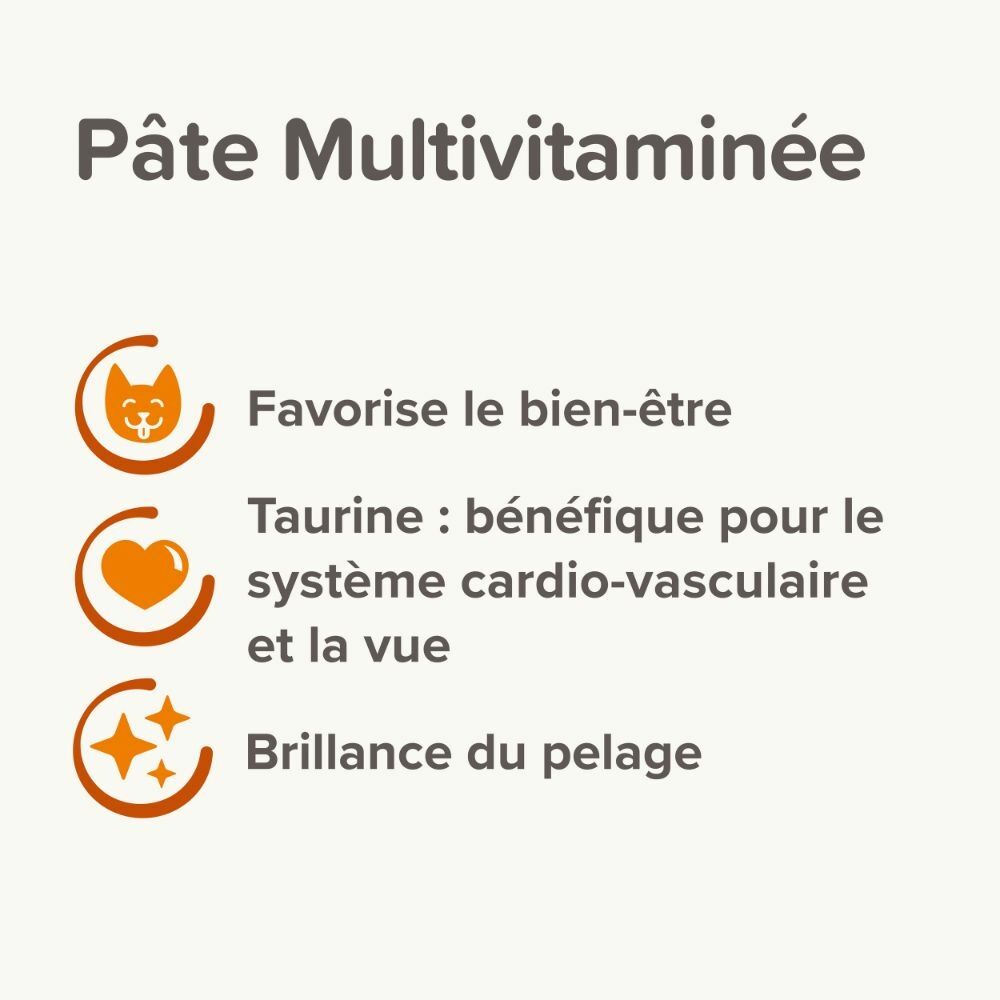Pâte Multivitaminée À La Taurine et Omégas Pour Chat thumbnail 3