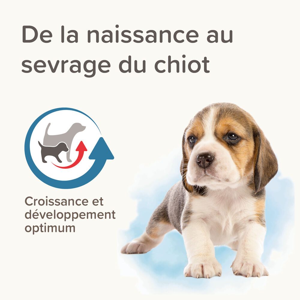Lactol – Lait Maternisé Pour Chiot thumbnail 3