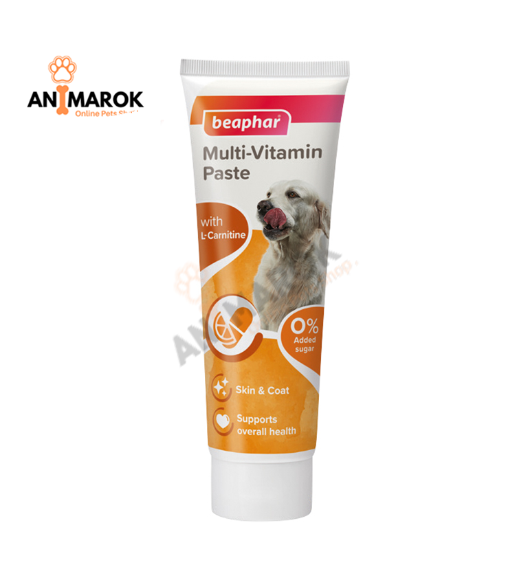 Pâte Multivitaminée Pour Chien