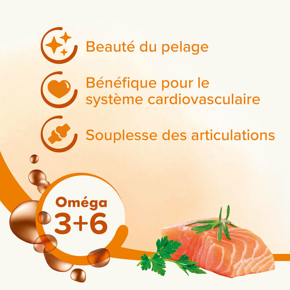 Huile De Saumon thumbnail 3