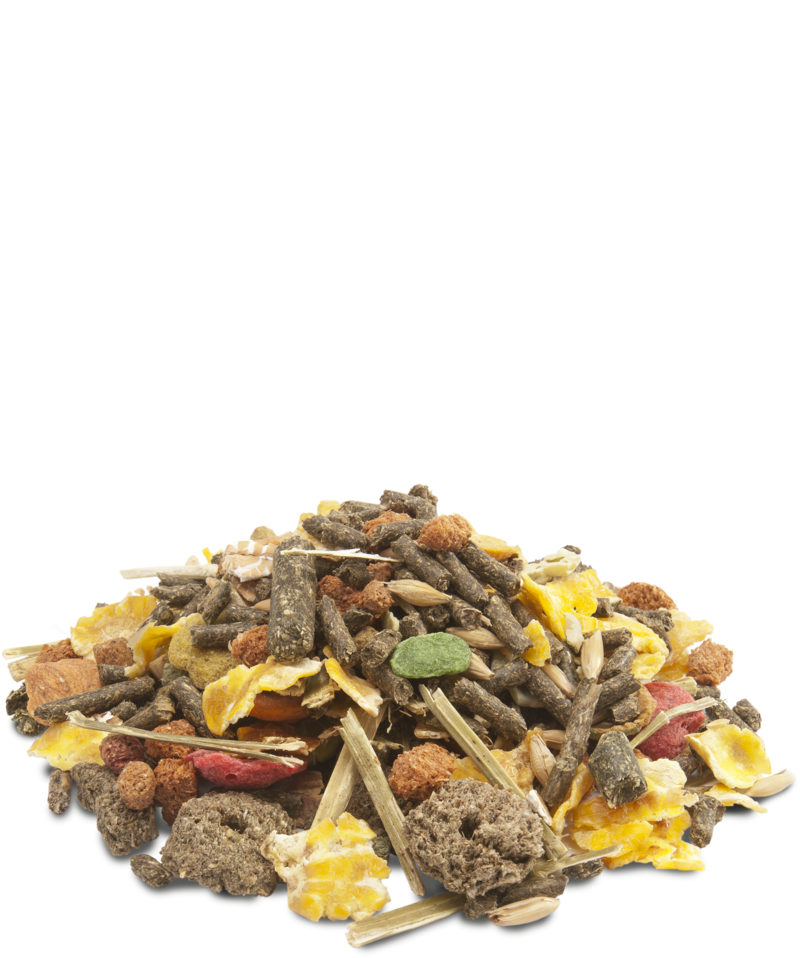 Muesli – Guinea Pigs (cochon D’inde)