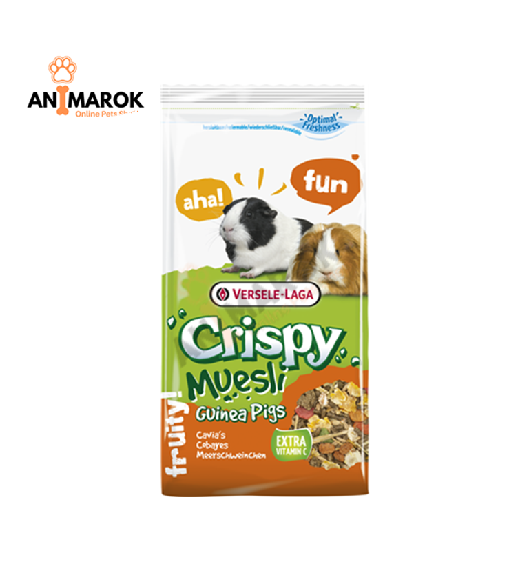 Muesli – Guinea Pigs (cochon D’inde)