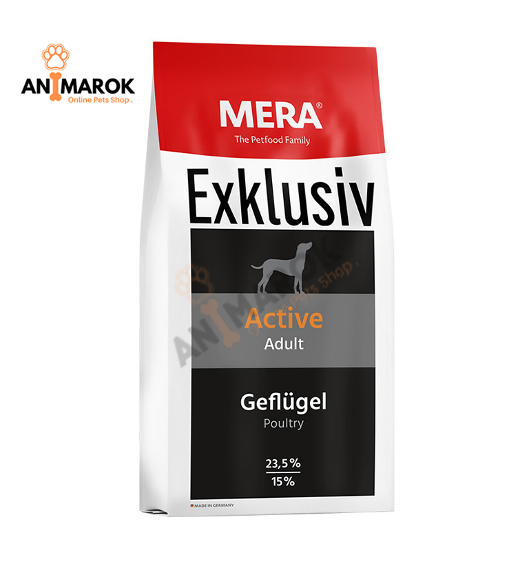 Dog Exclusive Active