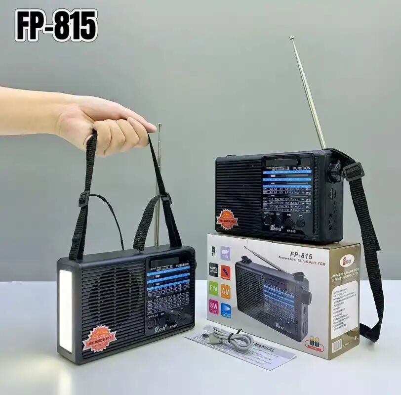 Haut-parleur Bluetooth Fp-815 – Radio Portable Sans Fil, Caisson De Basses, 8 Bandes Am/fm/sw, Lampe Torche Led