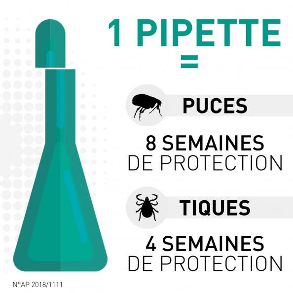 Combo- Cette pipette antiparasitaire 40kg thumbnail 2