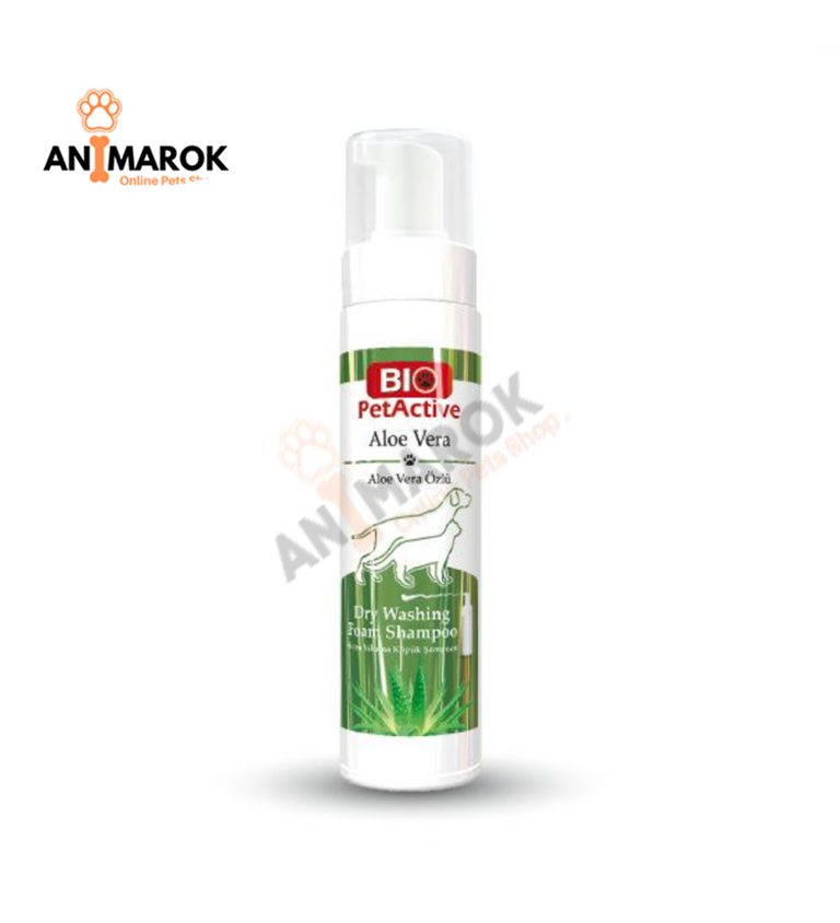 Shampoing Sec Mousse