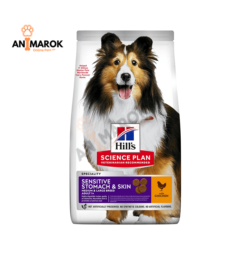 Chien Adulte Medium Sensitive Stomach & Skin
