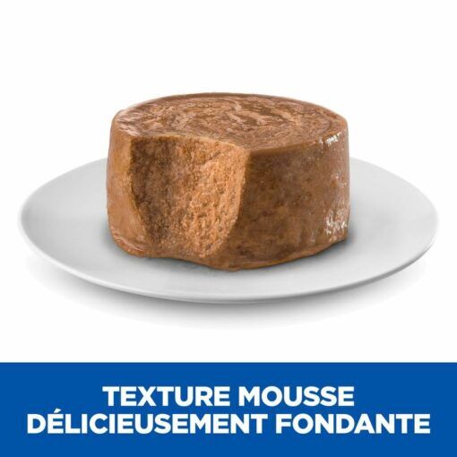 Mousse Pour Chien Adulte Small & Mini