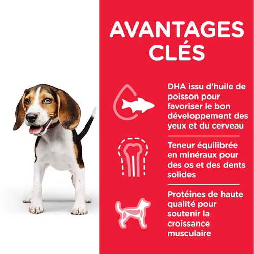 Science Plan – Pâtée Puppy