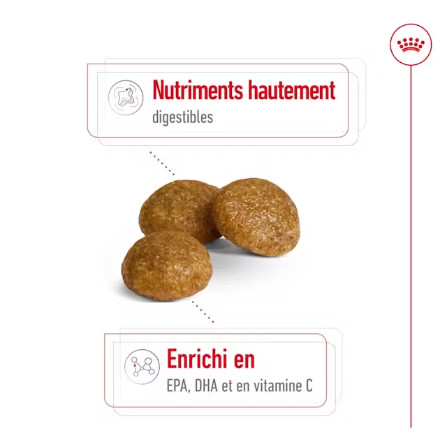 Royal Canin® X-small Adult