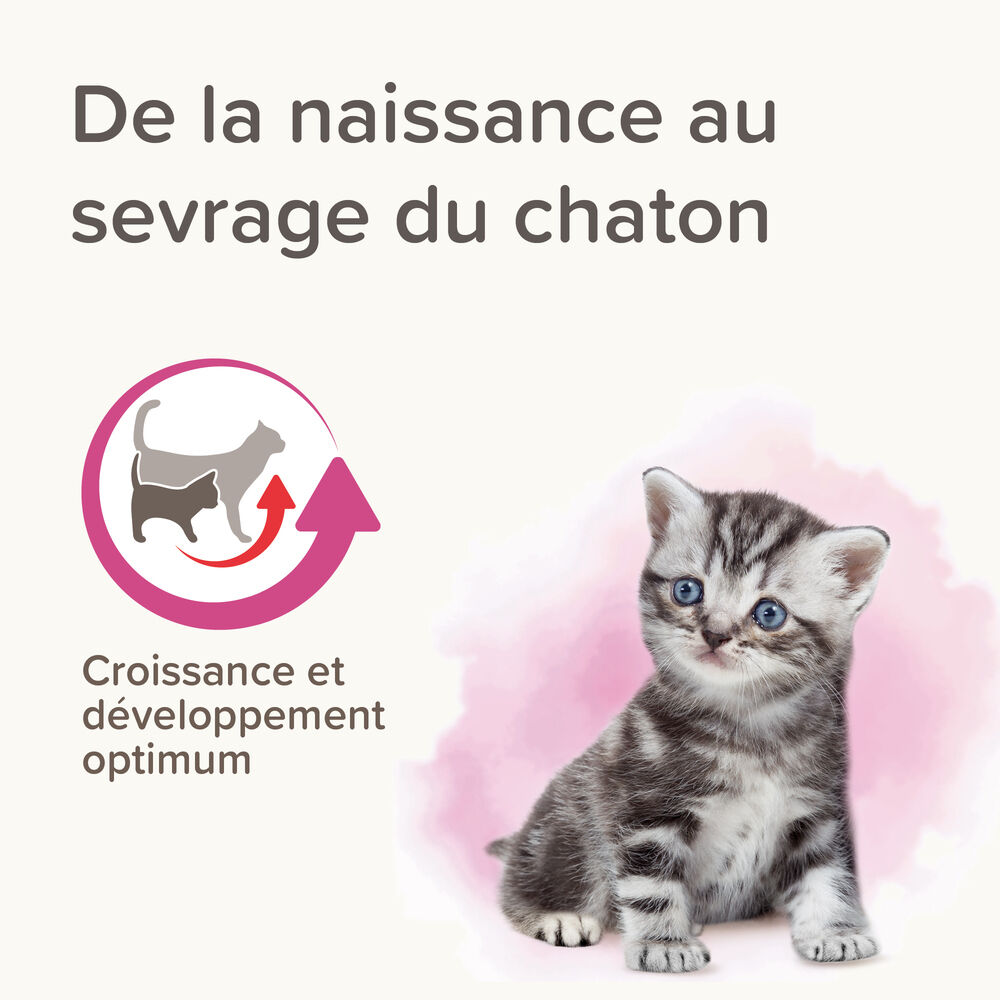 Lactol – Lait Maternisé Pour Chaton thumbnail 3