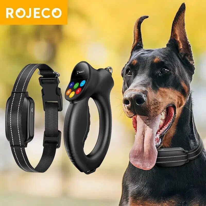 Collier De Dressage Rojeco 500m + Laisse – Télécommande Étanche & Nouvelles Fonctionnalités !
