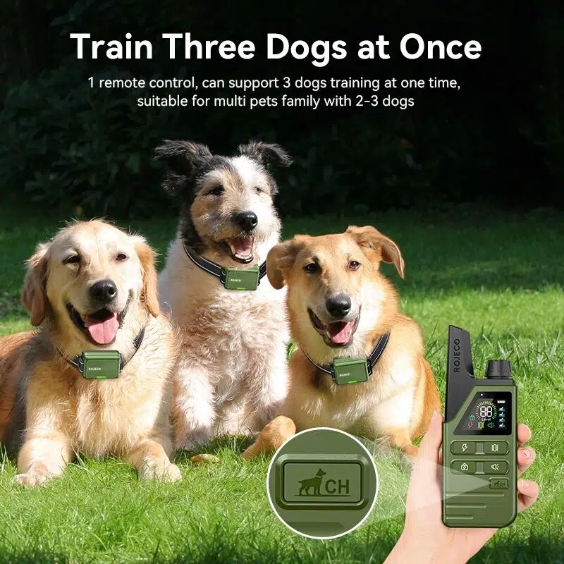 Collier De Dressage Rojeco 300m – Étanche Ipx7 & Rechargeable Pour Un Chien Bien Éduqué !