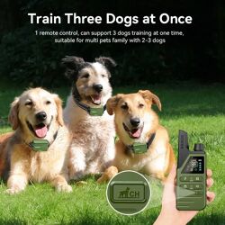 Collier De Dressage Rojeco 300m – Étanche Ipx7 & Rechargeable Pour Un Chien Bien Éduqué !