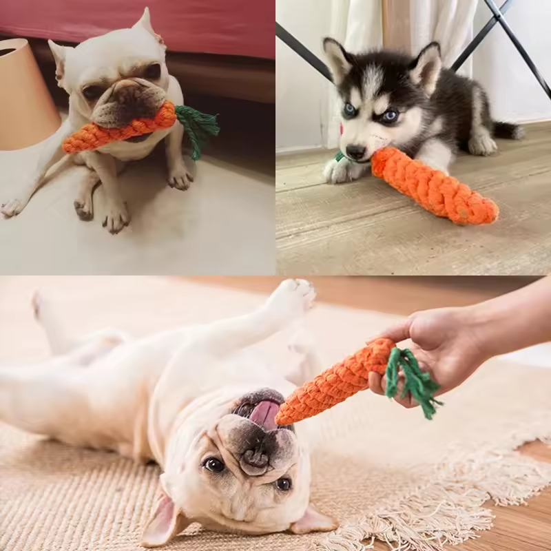 Jouets À Mâcher Pour Petits Chiens Nettoyage Des Dents